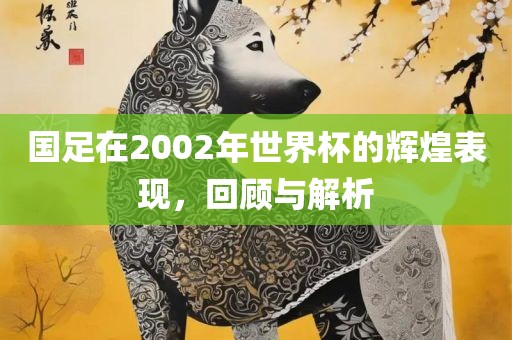 国足在2002年世界杯的辉煌表现，回顾与解析