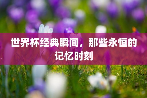 世界杯经典瞬间，那些永恒的记忆时刻