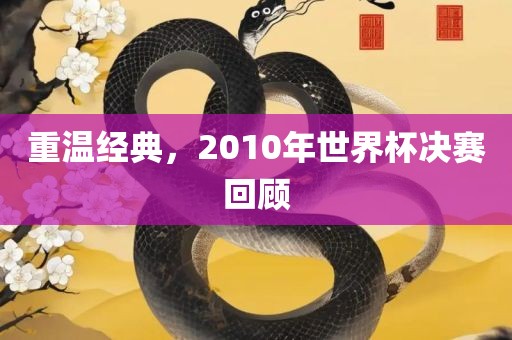 重温经典，2010年世界杯决赛回顾