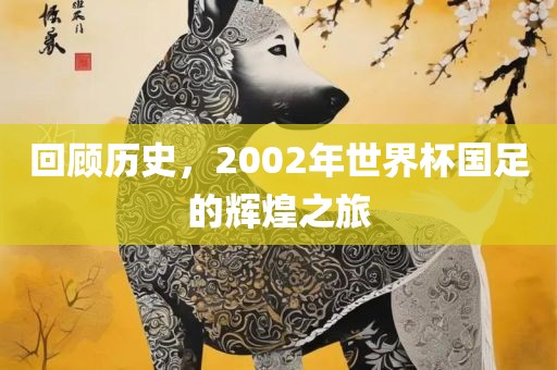回顾历史，2002年世界杯国足的辉煌之旅吉安市靖泰电力工程有限公司