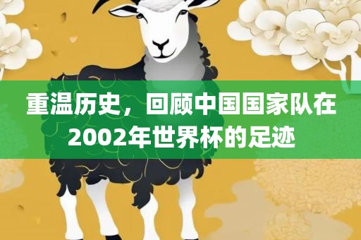 重温历史，回顾中国国家队在2002年世界杯的足迹