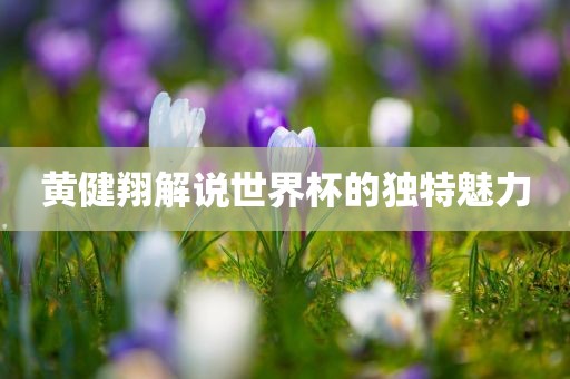 黄健翔解说世界杯的独特魅力