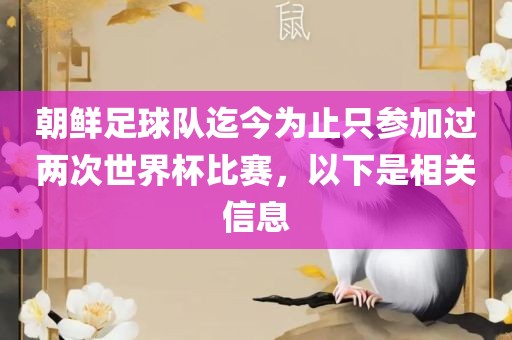 huamei 第5页