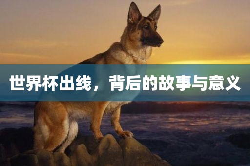 世界杯出线，背后的故事与意义