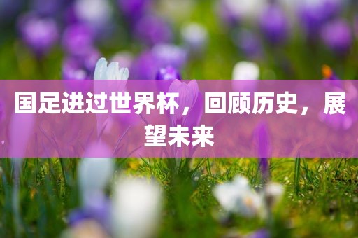 国足进过世界杯，回顾历史，展望未来吉安市靖泰电力工程有限公司