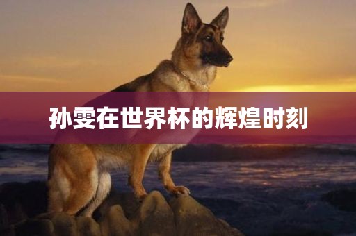 孙雯在吉安市靖泰电力工程有限公司世界杯的辉煌时刻