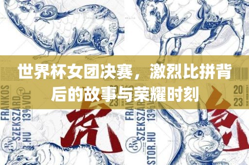 世界杯女团决赛，激烈比拼背后的故事与荣耀时刻吉安市靖泰电力工程有限公司