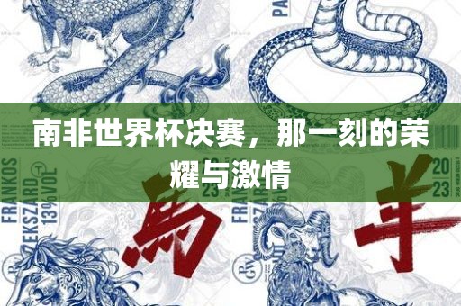 南非世界杯决赛，那一刻的荣耀与激情吉安市靖泰电力工程有限公司