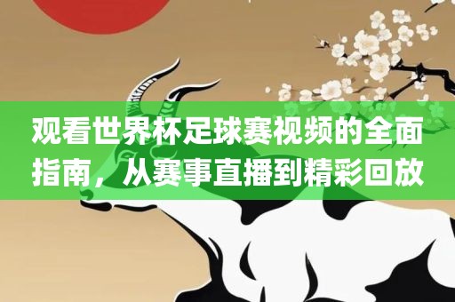 观看世界杯足球赛吉安市靖泰电力工程有限公司视频的全面指南，从赛事直播到精彩回放