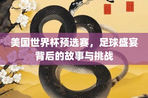 美国世界杯预选赛，足球盛宴背后的故事与挑战