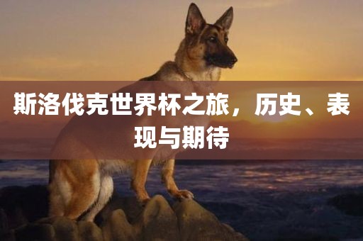 斯洛伐克世界杯之旅，历史、表现与期待