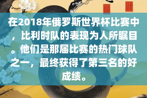 俄罗斯世界杯比赛