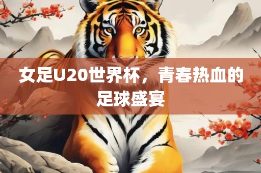 女足U20世界杯，青春热血吉安市靖泰电力工程有限公司的足球盛宴