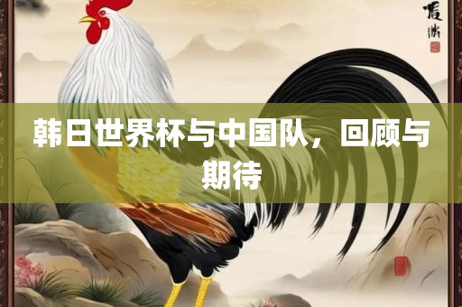 韩日世界杯与中国队，回顾与期待