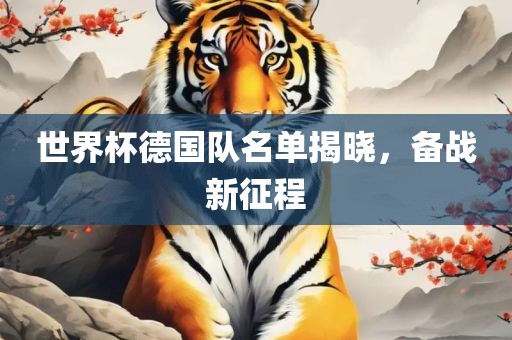 世界杯德国队名单揭晓，备战新征程