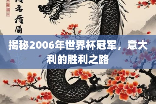 揭秘2006年世界杯冠军，意大利的胜利之路