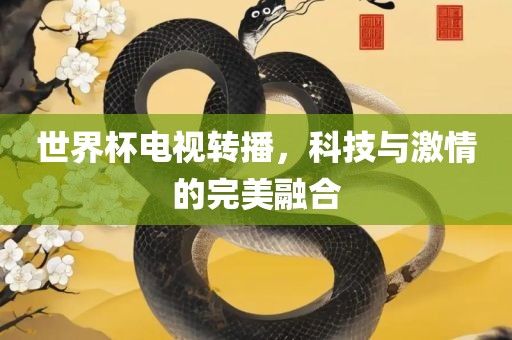 世界杯电视转播，科技与激情的完美融吉安市靖泰电力工程有限公司合