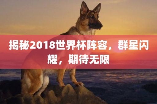 揭秘2018世界杯阵容，群星闪耀，期待无限