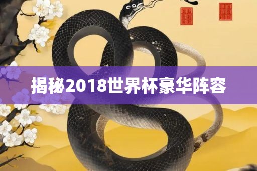 揭秘2018世界杯豪华阵容吉安市靖泰电力工程有限公司