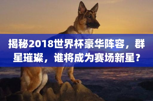 揭秘2018世界杯豪华阵容，群星璀璨，谁将成为赛场新星？