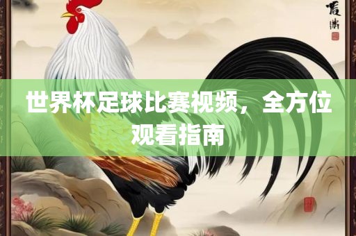世界杯足球比赛视频，全方位观看指南