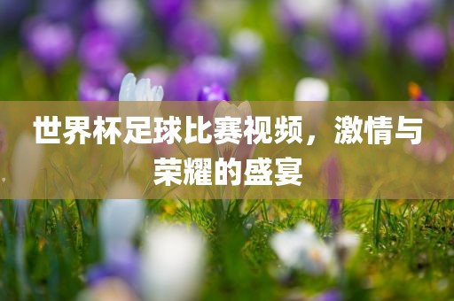 世界杯足球比赛视频，激情与荣耀的盛宴