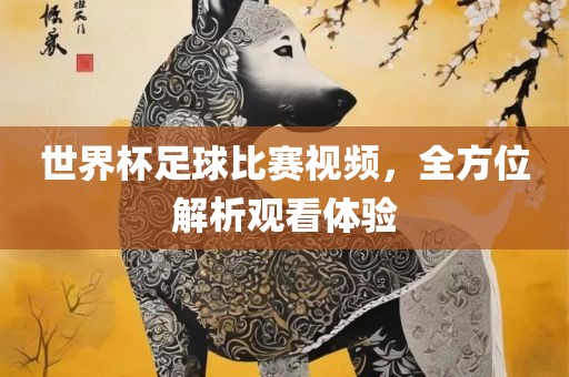 世界杯足球比赛视频，全方位解析观看体验