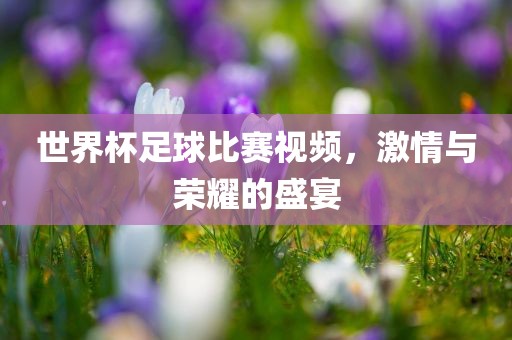 世界杯足球比赛视频，激情与荣耀的盛宴