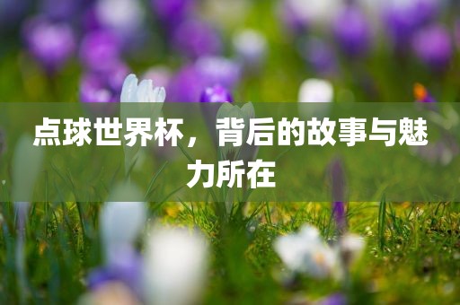 点球世界杯，背后的故事与魅力所在