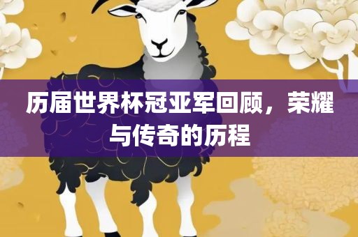 历届世界杯冠亚军回顾，荣耀与传奇的历程吉安市靖泰电力工程有限公司