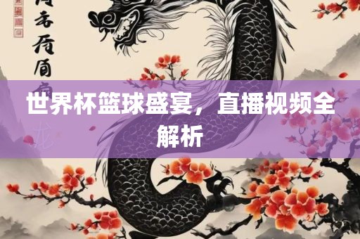 世界杯篮球盛宴