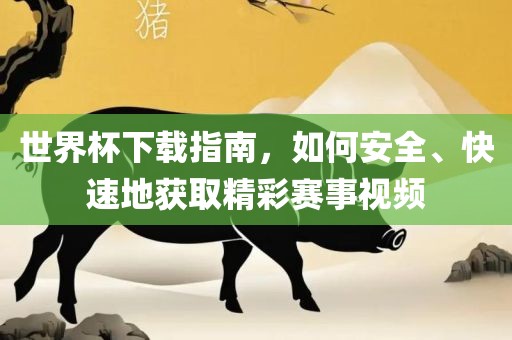 世界杯下载指南，如何安全、快速地获取精彩赛事视频