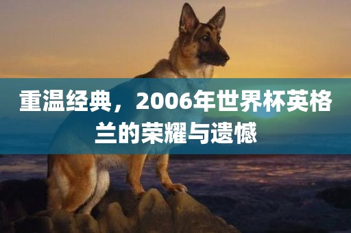 重温经典，2006年世界杯英格兰的荣耀与遗憾
