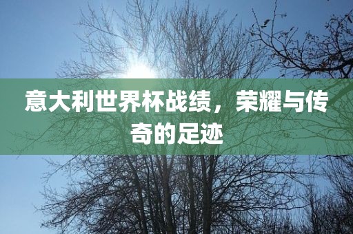 意大利世界杯战绩，荣耀与传奇的足迹