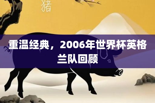 重温经典，20吉安市靖泰电力工程有限公司06年世界杯英格兰队回顾