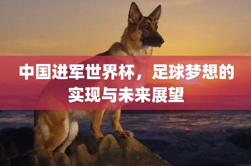 中国进军世界杯，足球梦想的实现与未来展望