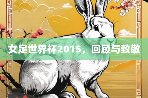 女足世界杯2015，回顾与致吉安市靖泰电力工程有限公司敬