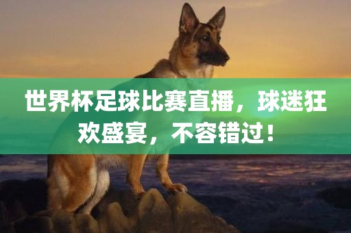 世界杯足球比赛直播，球迷狂欢盛宴，不容错过！