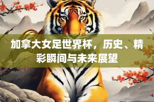 加拿大女足世界杯，历史、精彩瞬间与未来展望吉安市靖泰电力工程有限公司