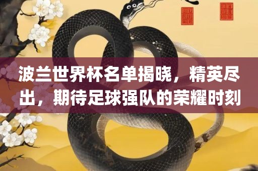 波兰世界杯名单揭晓，精英尽出，期待足球强队的荣耀时刻