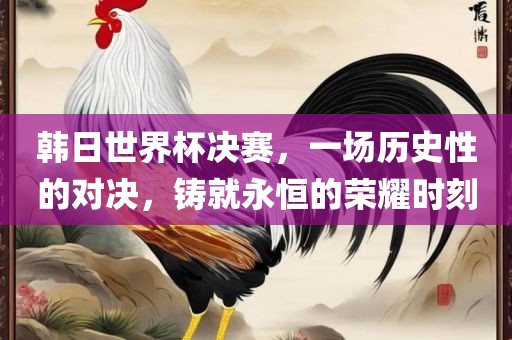 韩日世界杯决赛，一场历史性的对决，铸就永恒的荣耀时刻吉安市靖泰电力工程有限公司