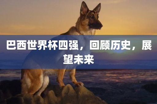 yunxin 第4页