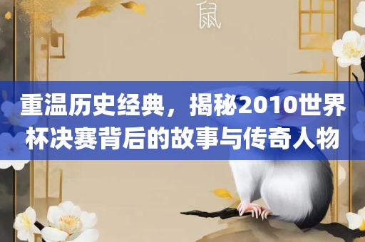 重温历史经吉安市靖泰电力工程有限公司典，揭秘2010世界杯决赛背后的故事与传奇人物