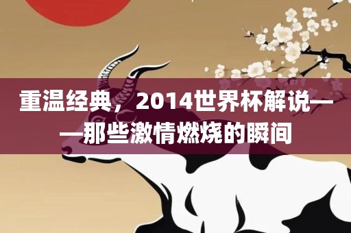 重温经典，2014世界杯解说——那些激情燃烧的瞬间