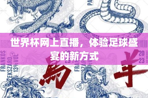 世界杯网上直播，体验足球盛宴的新方式