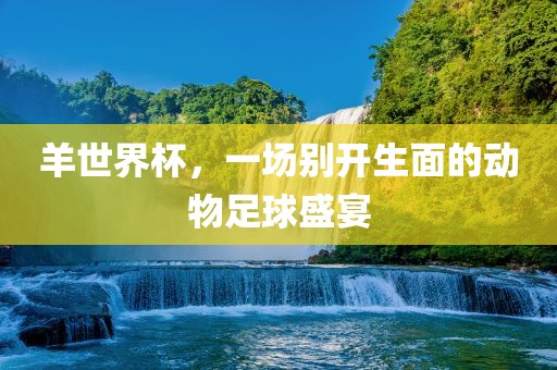 linxinyi 第4页