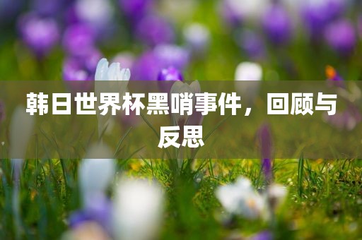 韩日世界杯黑哨事件，回顾与反思吉安市靖泰电力工程有限公司