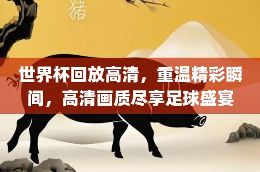 世界杯回放高清，重温精彩瞬间，高清画质尽享足球盛宴