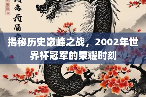 揭秘历史巅峰之战，2002年世界杯冠军的荣耀时刻吉安市靖泰电力工程有限公司