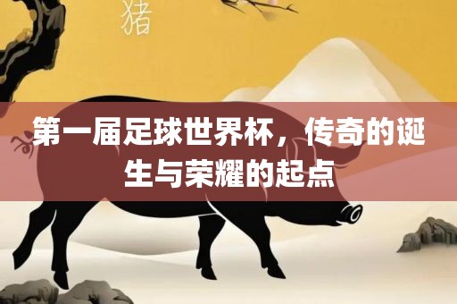 第一届足球世界杯，传奇的诞生与荣耀的起点